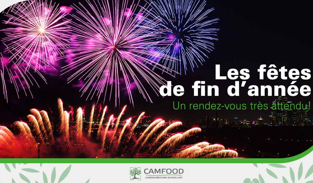 LES FETES DE FINS D’ANNEES (NOËL/NOUVEL AN); UN RENDEZ-VOUS TRES ATTENDU