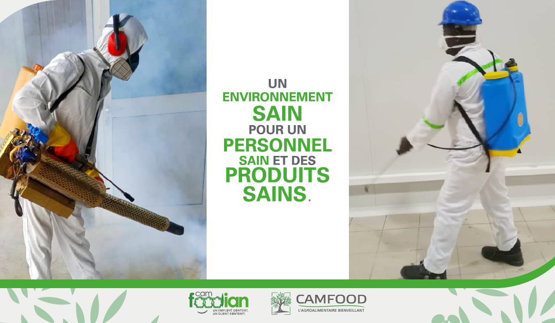 TRAITEMENT PHYTOSANITAIRE