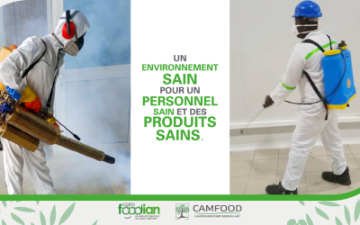 TRAITEMENT PHYTOSANITAIRE
